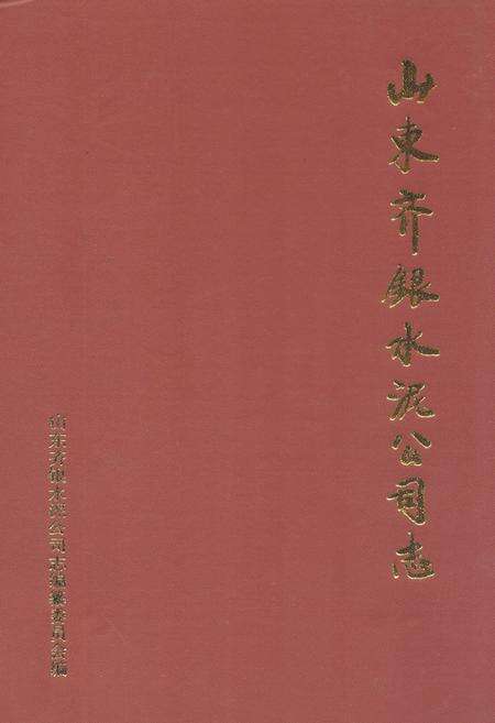 《山东齐银水泥公司志》.pdf_山东省志缩略图