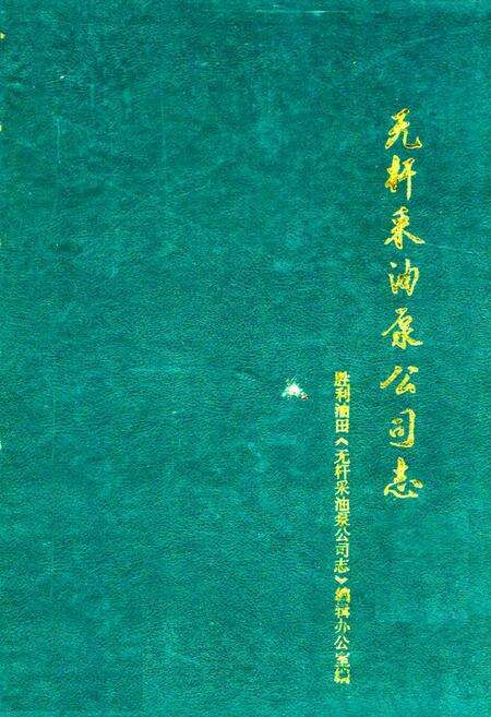 《无杆采油泵公司志(1983-1987)》.pdf_山东省志缩略图