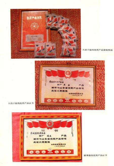 《《荣成县盐业志》》.pdf_山东省志预览图3