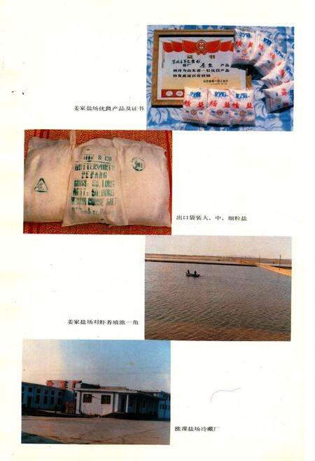 《《荣成县盐业志》》.pdf_山东省志预览图4