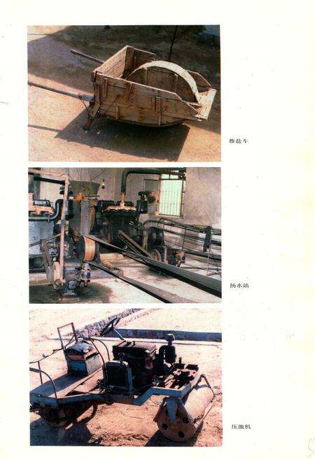 《《荣成县盐业志》》.pdf_山东省志预览图5