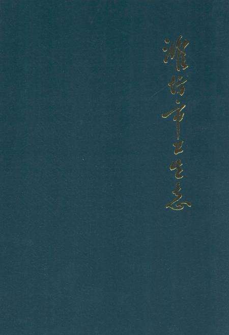 《淮坊市卫生志(1840-1986)》.pdf_山东省志缩略图