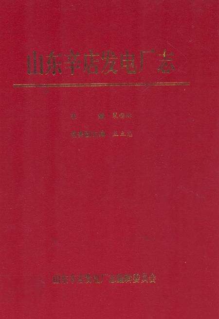 《山东辛店发电厂志》.pdf_山东省志缩略图