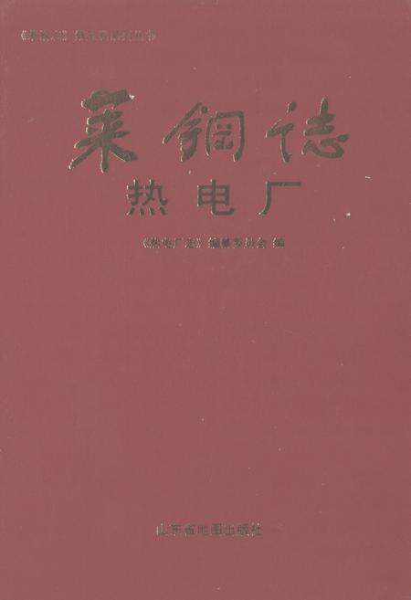 《莱钢志热电厂(1998~2005)》.pdf_山东省志缩略图