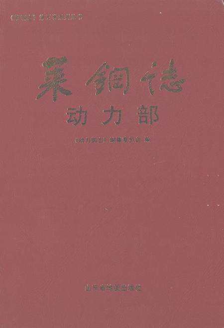 《莱钢志动力部(2001~2005)》.pdf_山东省志缩略图
