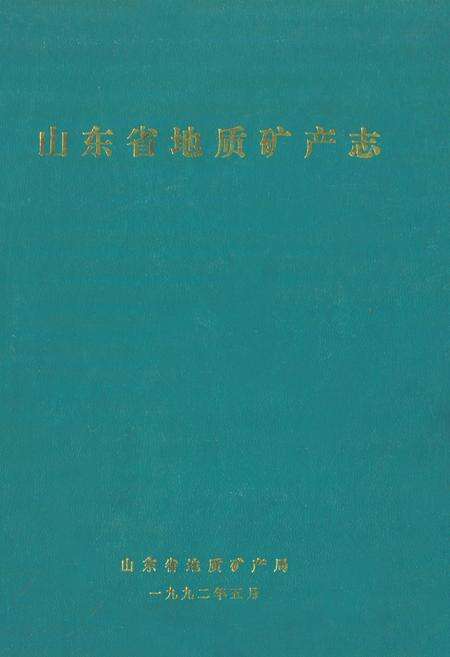 《山东省地质矿产志》.pdf_山东省志缩略图