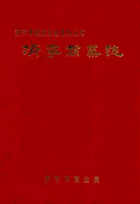 《济宁商业志》.pdf_山东省志缩略图