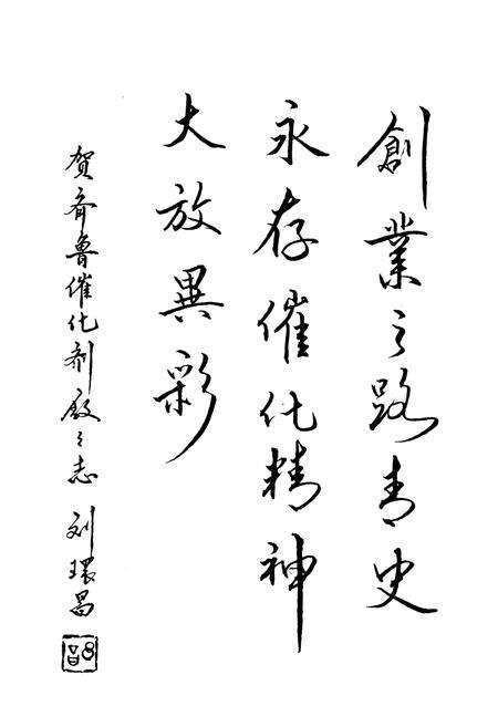 《齐鲁石化公司催化剂厂志(1969~1989)》.pdf_山东省志预览图5