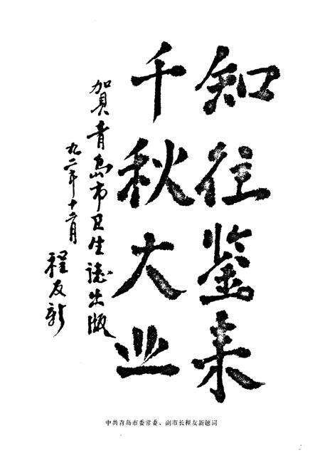 《青岛市卫生志(1891-1990)》.pdf_山东省志预览图4