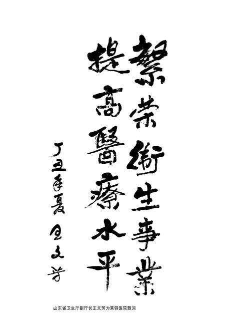 《莱钢志莱钢医院(2001~2005)》.pdf_山东省志预览图5