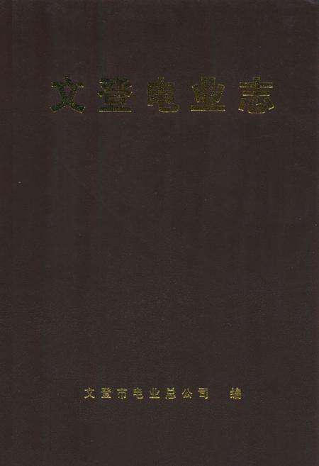 《文登电业志(1926-1977)》.pdf_山东省志缩略图