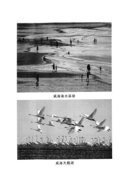 《《威海市工商行政管理志(1898年-2005年)》》.pdf_山东省志预览图3