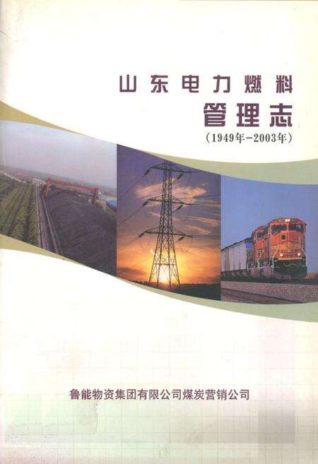 《《山东电力燃料管理志(1949-2003)》》.pdf_山东省志缩略图