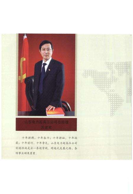 《《山东电力超高压公司志(2000-2010)》》.pdf_山东省志预览图4