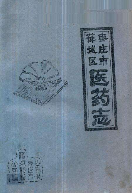 《枣庄市薛城区医药志》.pdf_山东省志缩略图