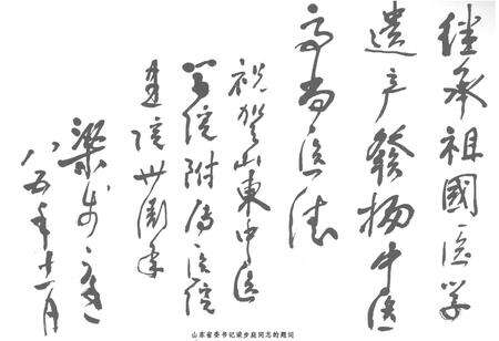 《《山东中医学院附属医院院志》》.pdf_山东省志预览图1