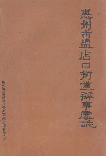 《《德州市盐店口街道办事处志》》.pdf_山东省志缩略图