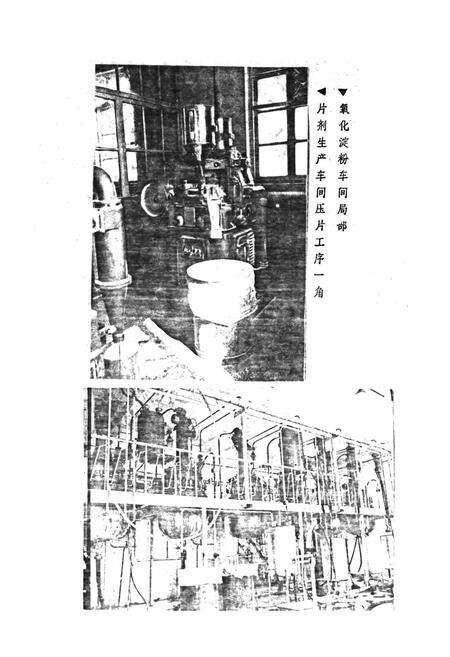 《潍坊制药二厂志》.pdf_山东省志预览图4