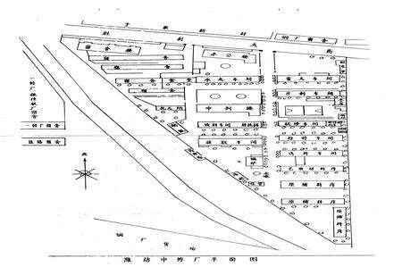 《潍坊中药厂志》.pdf_山东省志预览图3