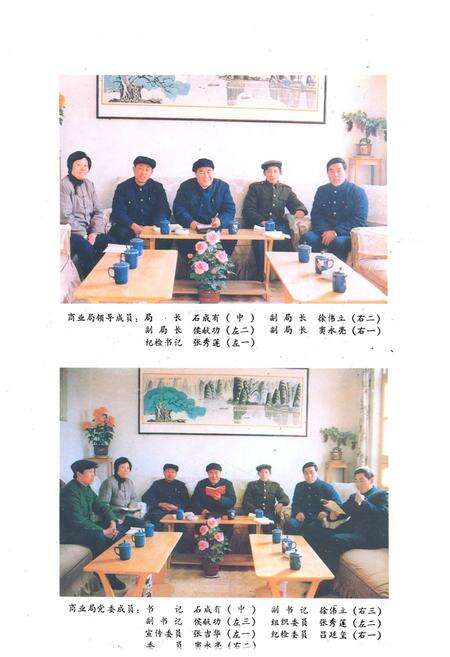 《《莱州市商业志》》.pdf_山东省志预览图4