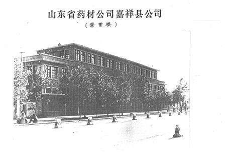 《《嘉祥县医药志》》.pdf_山东省志预览图4