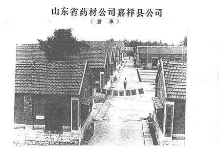 《《嘉祥县医药志》》.pdf_山东省志预览图5