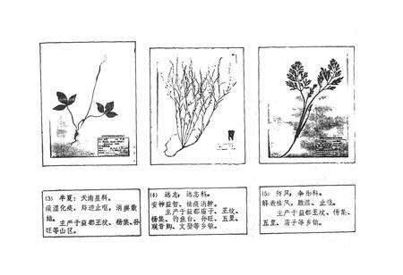 《益都县医药志》.pdf_山东省志预览图5