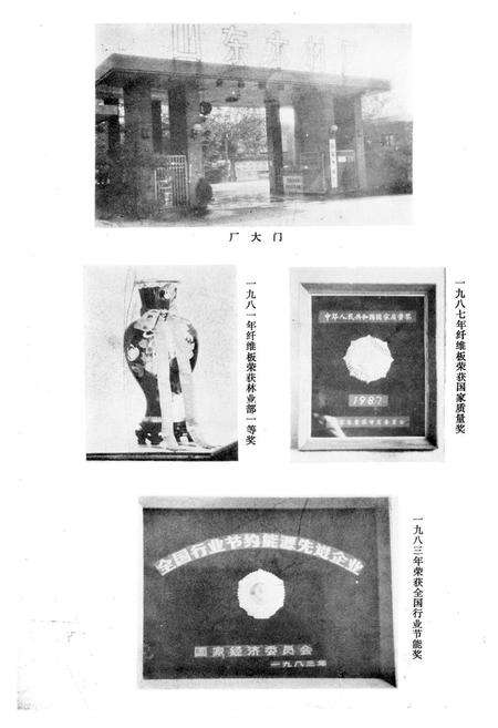 《山东木材厂志(1949-1987)》.pdf_山东省志预览图1
