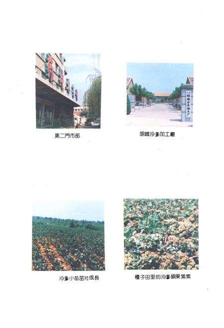 《莱阳县医药志》.pdf_山东省志预览图5