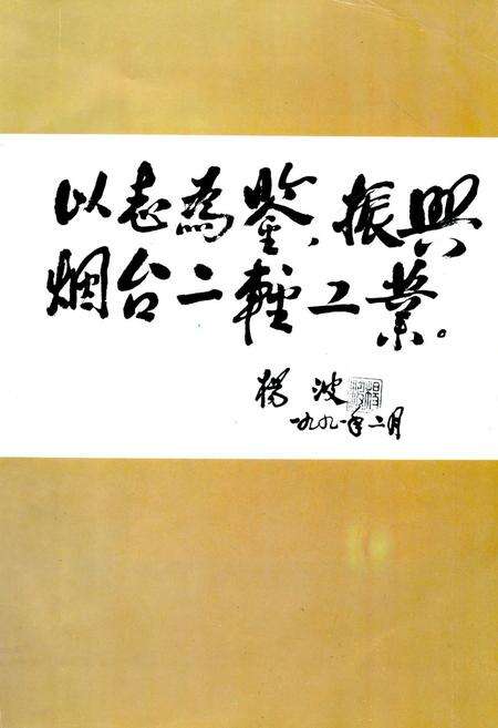 《烟台市二轻工业志1840-1985》.pdf_山东省志预览图2