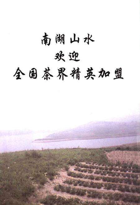 《日照茶业日志》.pdf_山东省志预览图2