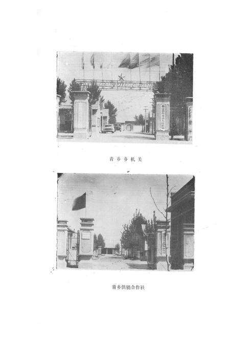 《青乡乡志》.pdf_山东省志预览图4