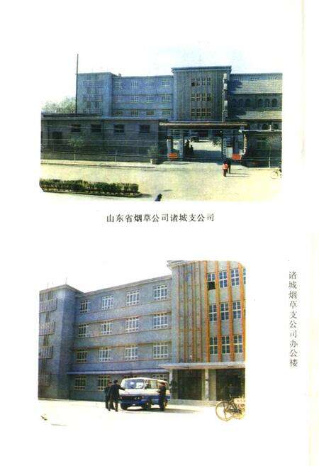 《《诸城烟草志》》.pdf_山东省志预览图5