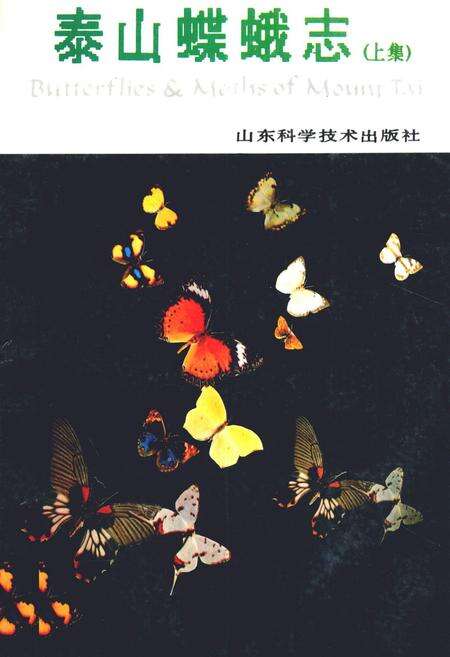 《《泰山蝶蛾志(上集)》》.pdf_山东省志缩略图