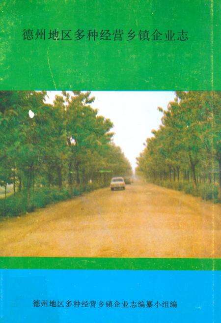 《德州地区多种经营乡镇企业志》.pdf_山东省志缩略图