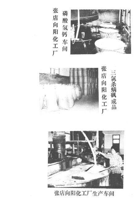 《张店区外贸志》.pdf_山东省志预览图4