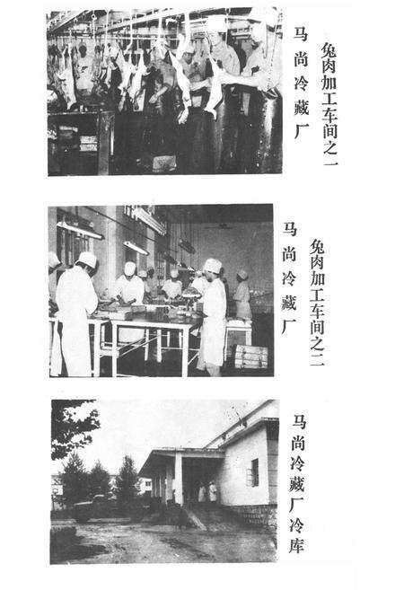 《张店区外贸志》.pdf_山东省志预览图5