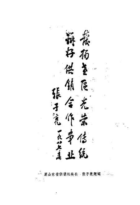 《《莒南县供销志》》.pdf_山东省志预览图5