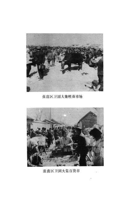 《《张店区工商行政管理志》》.pdf_山东省志预览图5