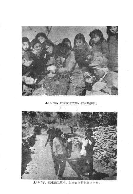《烟台妇女志(1937-1985)》.pdf_山东省志预览图3