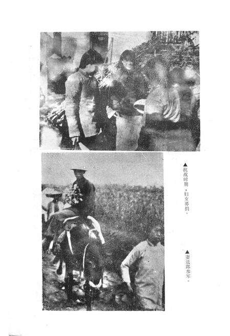 《烟台妇女志(1937-1985)》.pdf_山东省志预览图4