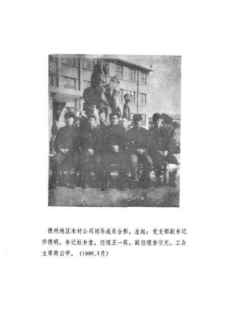 《德州木材公司志(1953-1985)》.pdf_山东省志预览图4
