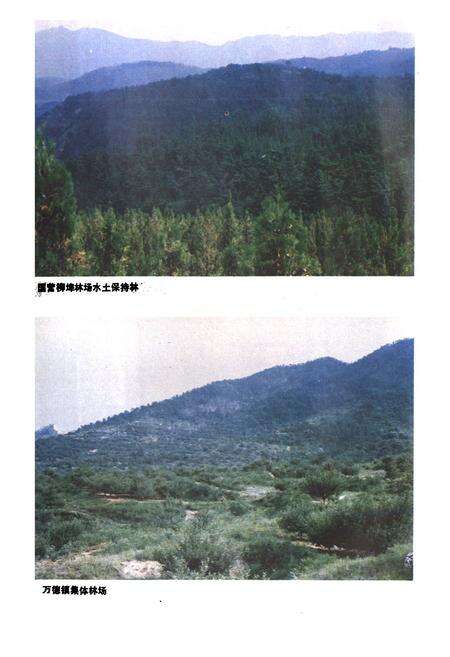 《济南市林业志》.pdf_山东省志预览图5