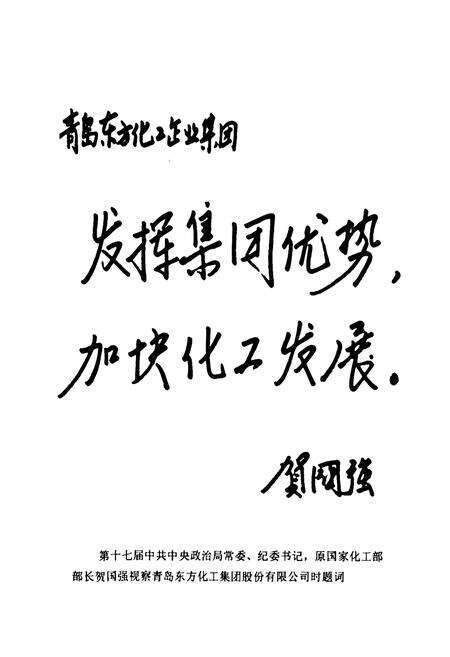 《《莱西工业志》》.pdf_山东省志预览图3