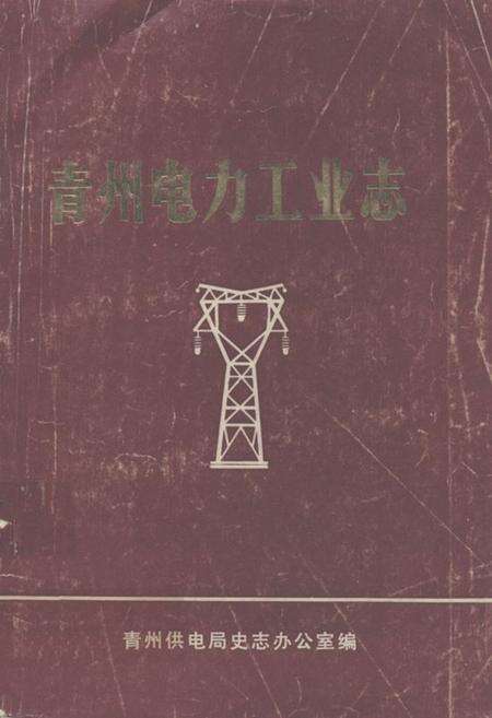 《《青州电力工业志》》.pdf_山东省志缩略图