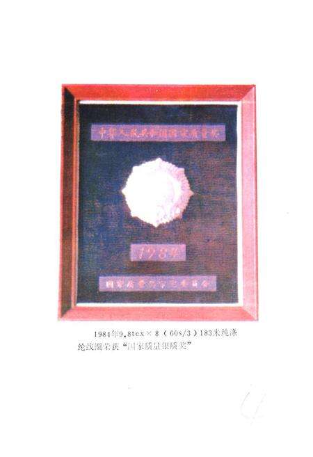 《《青岛制线厂简志》》.pdf_山东省志预览图4