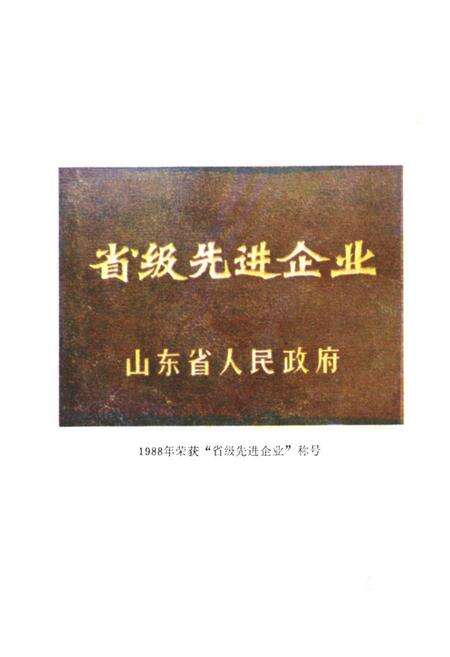 《《青岛制线厂简志》》.pdf_山东省志预览图5