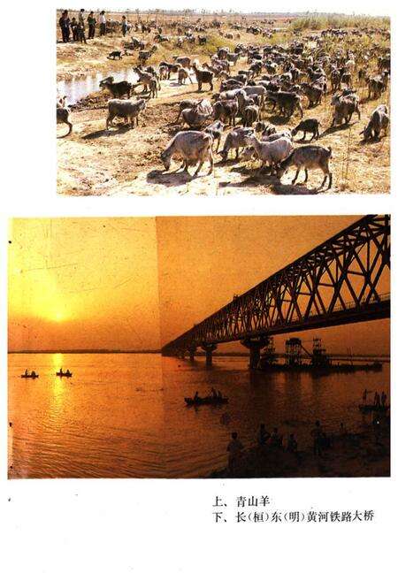 《《菏泽风物志》》.pdf_山东省志预览图4