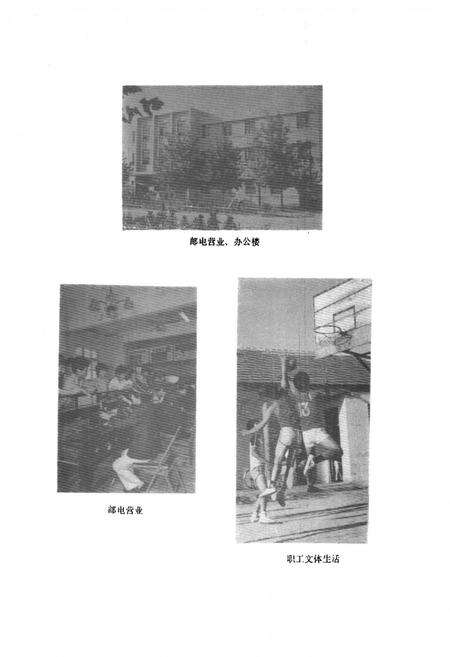 《成武县邮电志》.pdf_山东省志预览图5