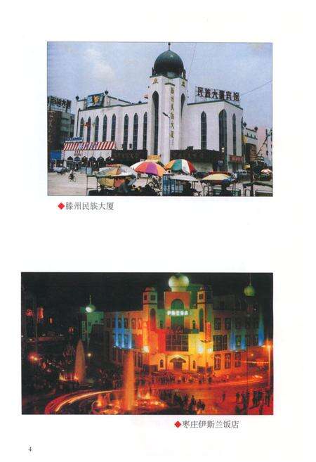 《《枣庄回族简志》》.pdf_山东省志预览图5